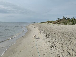 Casa de vacaciones Lyngså  19