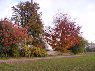 Auch der Herbst kann zauberhaft schön sein