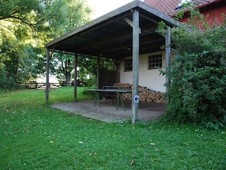 Wer wird heute Tischtennis-Meister?