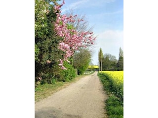 Feldweg vor dem Ferienhaus