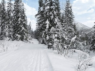 Apartment Hemsedal  13