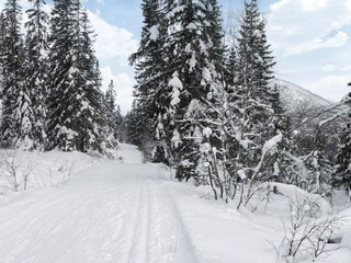 Appartement Hemsedal  15
