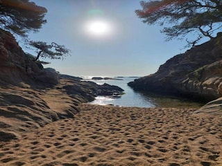 Villa Vidreres Omgeving 24