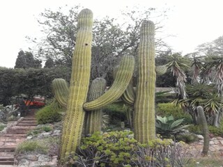 Villa Vidreres Environnement 30