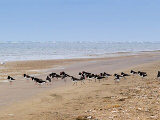 Holiday house Fanø Bad  33