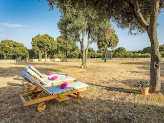 Holiday house Vinkuran Outdoor Recording 5