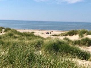 Dünen/ Strand
