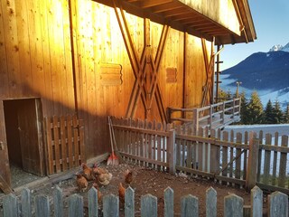 Boerderij Innichen Buitenaudio-opname 27
