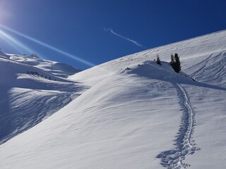 Fattoria Innichen Ambiente 38