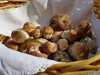 Fattoria Innichen Ambiente 45