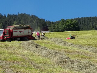 Boerderij Innichen Buitenaudio-opname 26