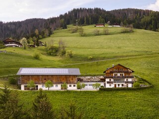 The Farm in the spring time