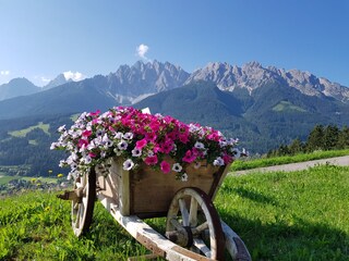 Fattoria Innichen Registrazione all'aperto 12