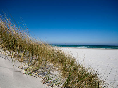 Firma Fewo-Point - Frau Denise Harder