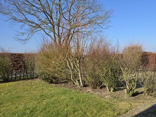 Appartamento per vacanze Büsum Registrazione all'aperto 2