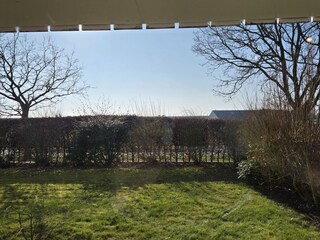 Blick zum Deich