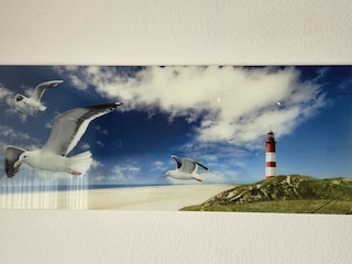 Vakantieappartement Büsum Kenmerken 25