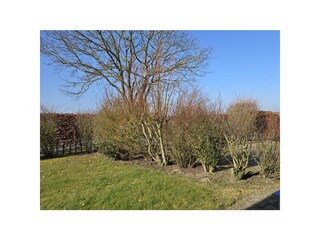 Vakantieappartement Büsum  49