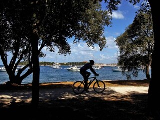 Apartment Funtana Umgebung 3