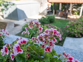 Apartment Funtana Umgebung 1