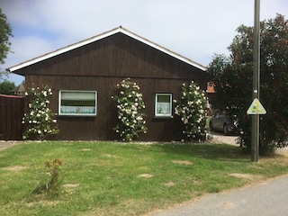 Rosenblütenzeit iszt Sommerzeit