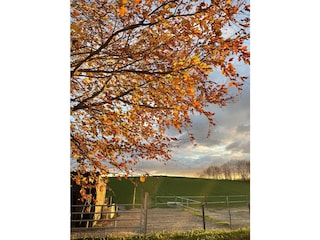 Ferienhaus Ostseebad Schönhagen Umgebung 16