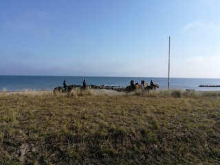 Ferienhaus Ostseebad Schönhagen Umgebung 19