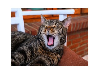 Ferienhaus Ostseebad Schönhagen Umgebung 24