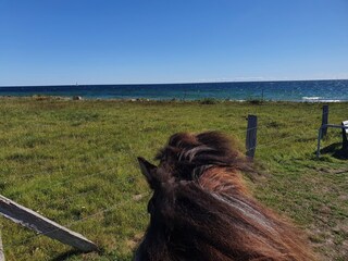 Ferienhaus Ostseebad Schönhagen Umgebung 25