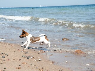 Ferienhaus Ostseebad Schönhagen Umgebung 26