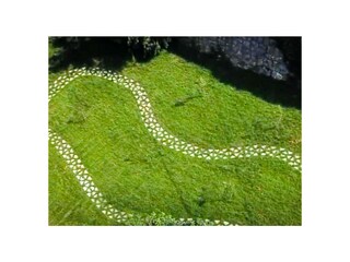 Villa Tribalj Grabación al aire libre 2