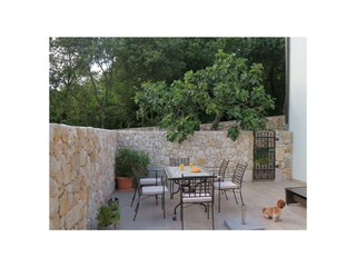 Villa Tribalj Buitenaudio-opname 9