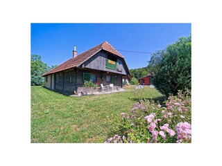 Villa Karlovac Buitenaudio-opname 4