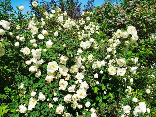 Casa per le vacanze Havstenssund Registrazione all'aperto 5