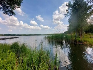 Vakantiehuis Warnow Omgeving 17