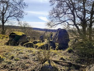 Maison de vacances Warnow Environnement 20