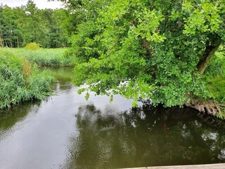 Vakantiehuis Warnow Omgeving 21