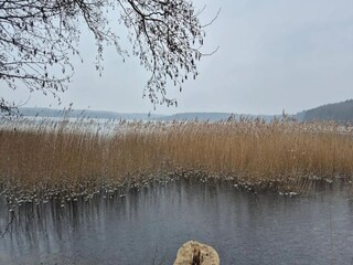 Vakantiehuis Warnow Omgeving 22