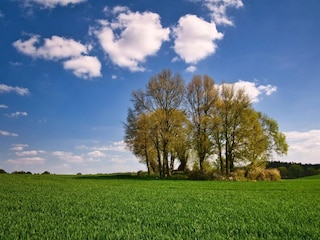 Ferienhaus Warnow Umgebung 27