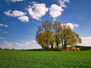 Vakantiehuis Warnow Omgeving 24