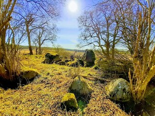 Maison de vacances Warnow Environnement 26