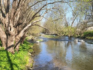 Vakantiehuis Warnow Omgeving 28