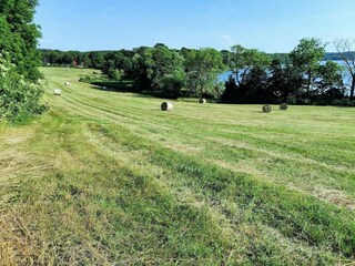 Vakantiehuis Warnow Omgeving 33
