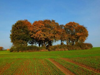 Vakantiehuis Warnow Omgeving 17