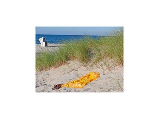 House boat Barth Environment 18