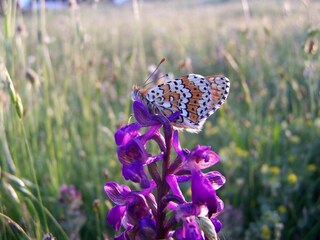 Vakantiehuis Vega de Santa María  37