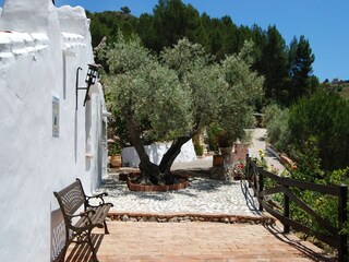 Villa Cómpeta Außenaufnahme 12
