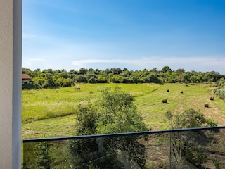 Villa Štinjan Außenaufnahme 11