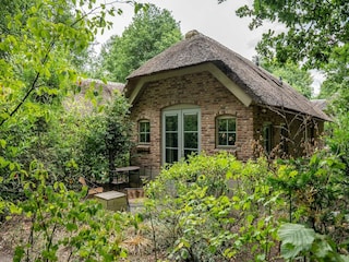 Vakantiehuis Uddel Buitenaudio-opname 1