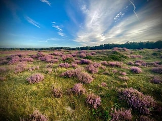 Vakantiehuis Uddel Omgeving 20